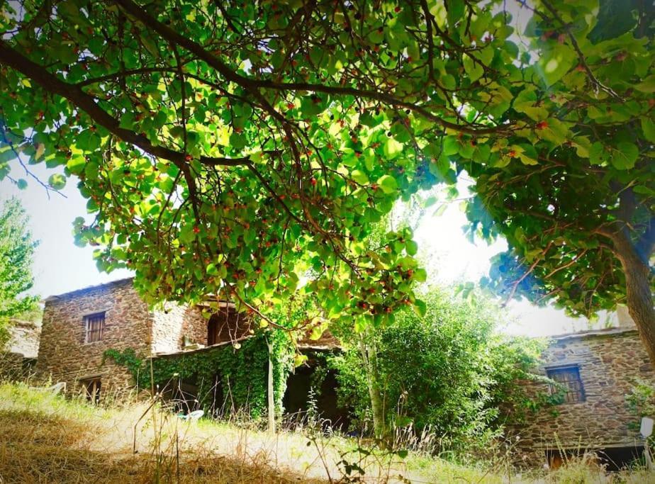 Cortijo Rural El Albercon - Capileira - Alpujarra Rural Villa Buitenkant foto