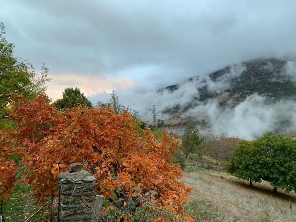 Cortijo Rural El Albercon - Capileira - Alpujarra Rural Villa Buitenkant foto